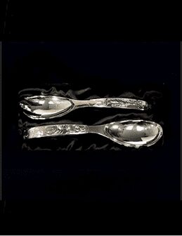 silver plated orca salad servers